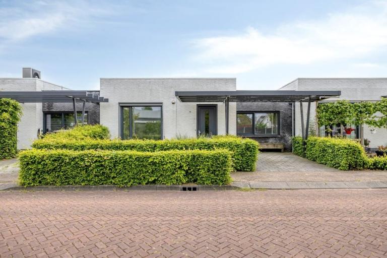De Veilingmeester 5