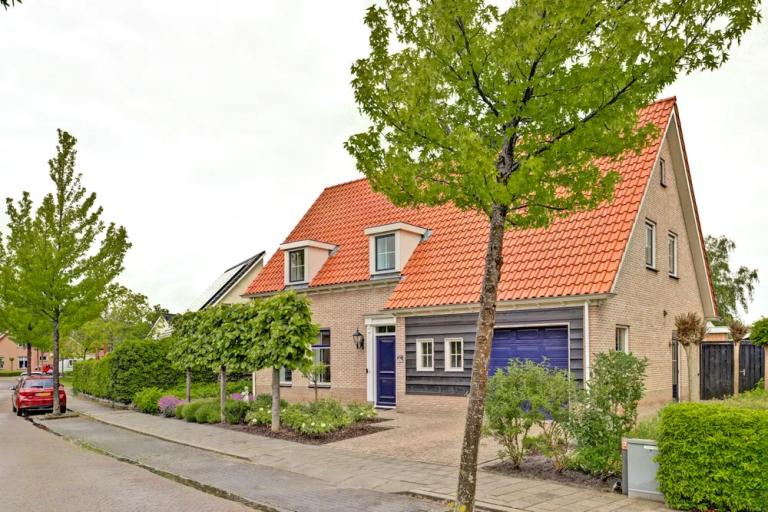 Boterbloem 11