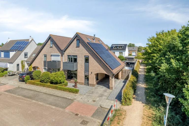 Groene Specht 19