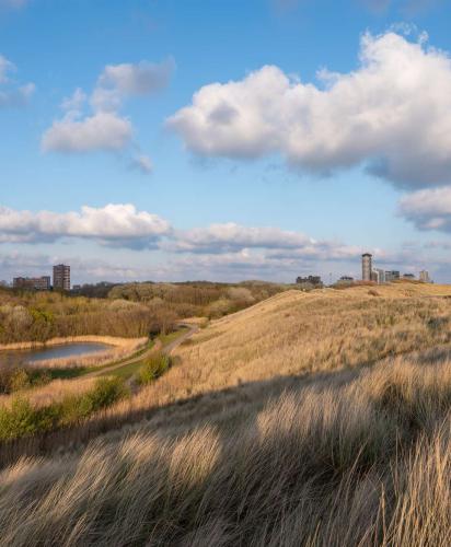 Ambitie om in Zeeland te werken?
